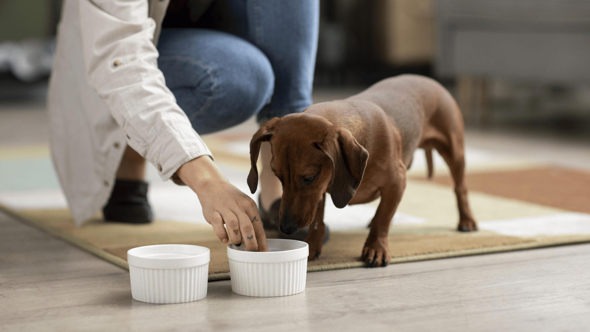 Dog-Nutrition-Page-Banner